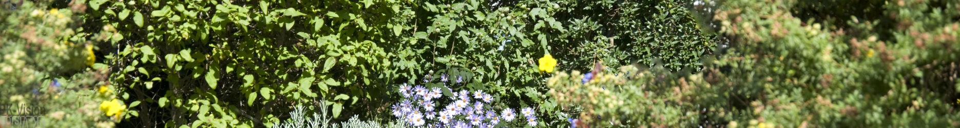 Garten-Mauer