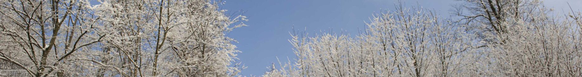 Hochwald 1